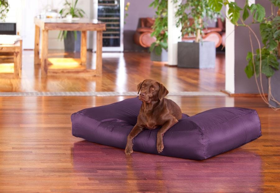 EXTRA large 100cm x 70cm x 20cm size dog bean bag sofa beds, pet beanbag cushion,waterproof and tear repellent beanbag bedding: purple