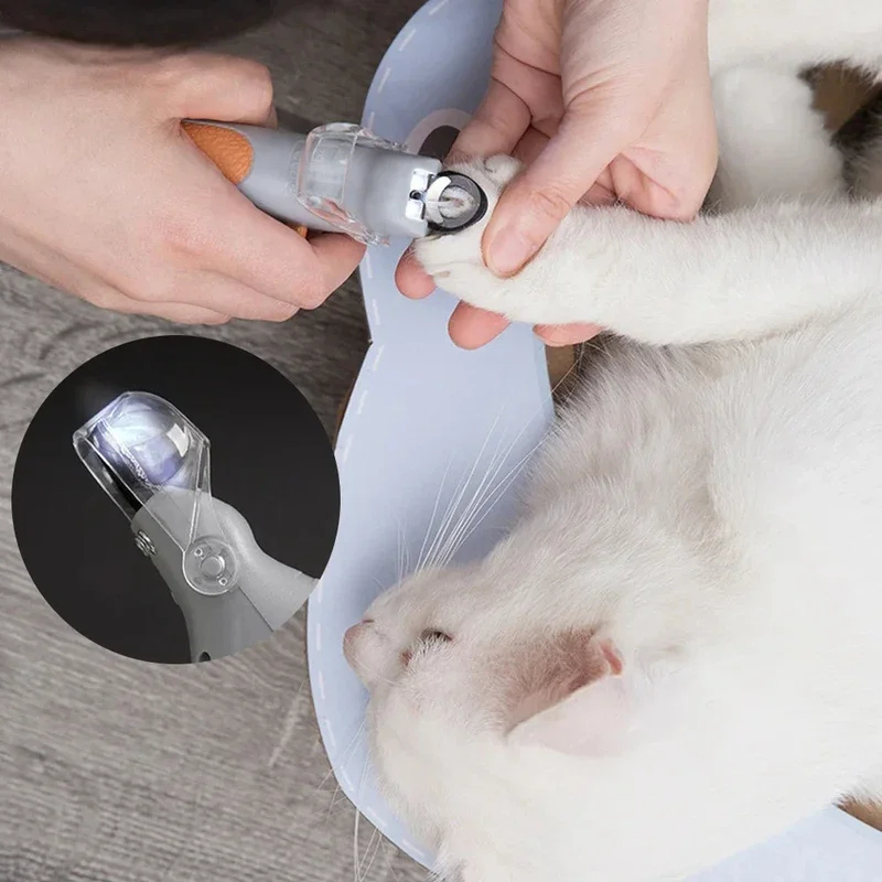 Ciseaux professionnels pour coupe-ongles pour animaux de compagnie, avec lumière LED, pour chat et chien, outil, ciseaux pour couper les griffes des orteils, fournitures pour animaux de compagnie