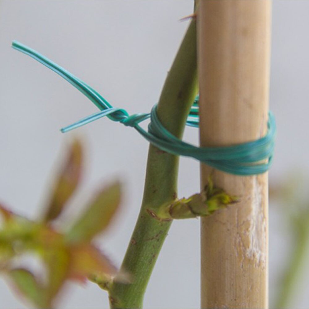 20M Green Gardening Vine Climbing Plants Cable Tie Lines Plant Brackets Grafting Fixer for Agricultural Greenhouse Supplies