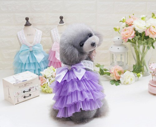 Vêtements pour animaux de compagnie de luxe pour petit chien robe princesse mariage Tutu robe nœud printemps été chien vêtements: VIOLET / L
