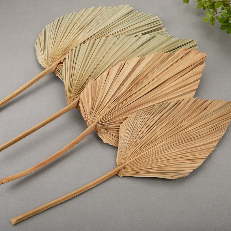 Palm Fan Leaf Dried Flower Palm Leaf Window Reception Party Art Wall Hanging Decoration Wedding Arch Arrangement