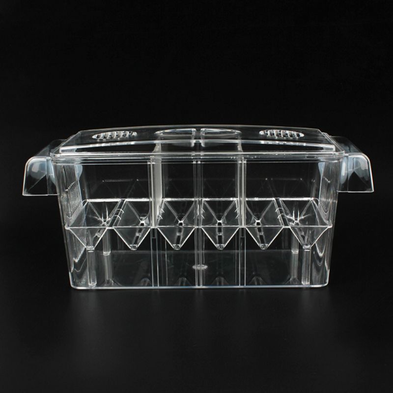 Aquarium Isolation Hatching Box Acrylic Fish Tank Breeding Boxes Double Grid
