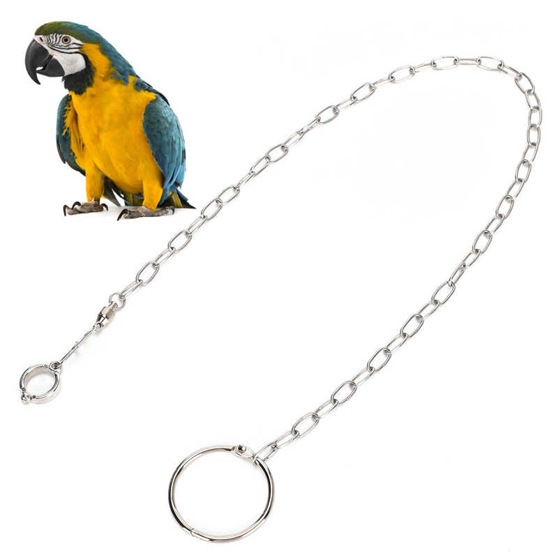 Papegaai Rvs Voet Ring Ketting Opening Activiteit Ring Voor Lovebird Valkparkiet Parkiet Vogel Stand Enkelband