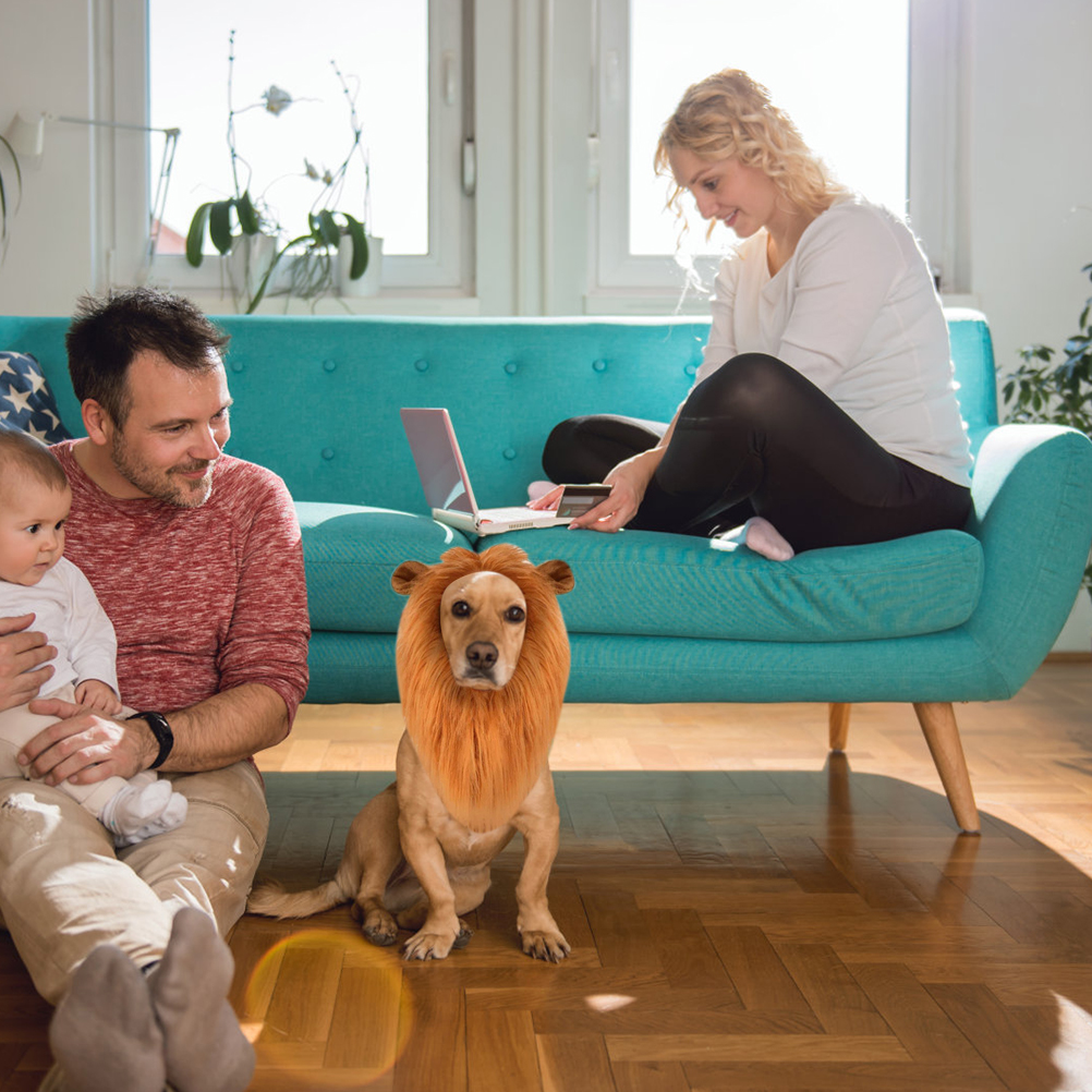 Dog Costume Lion Mane Cosplay Funny Lion Mane for Dogs Costumes Lion Wig for Medium to Large Sized Dogs