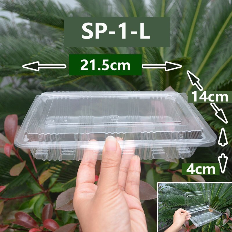100Pack Disposable Clear Plastic Containers Transparent Box for Dessert Fruit Cake Salad Sandwiches Take Out Box: SP-1-L