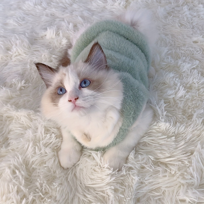Katzen-Accessoires, warme Kätzchen-Kleidung für Haustiere für Höhle Winter, Kätzchen-Kleidung, kleine Kätzchen-Sachen, Kühlkleidung, zur Seite fahren-Westen für Hunde