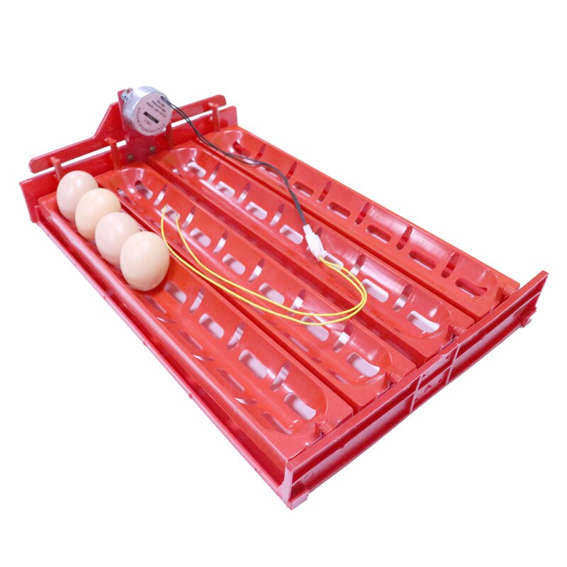 Accesorios para incubadora de huevos, bandeja para colocar huevos, pato, Ganso, aves de corral, Motor de 110V/220V/DC12V, novedad, 32-40 juegos, 1 Juego