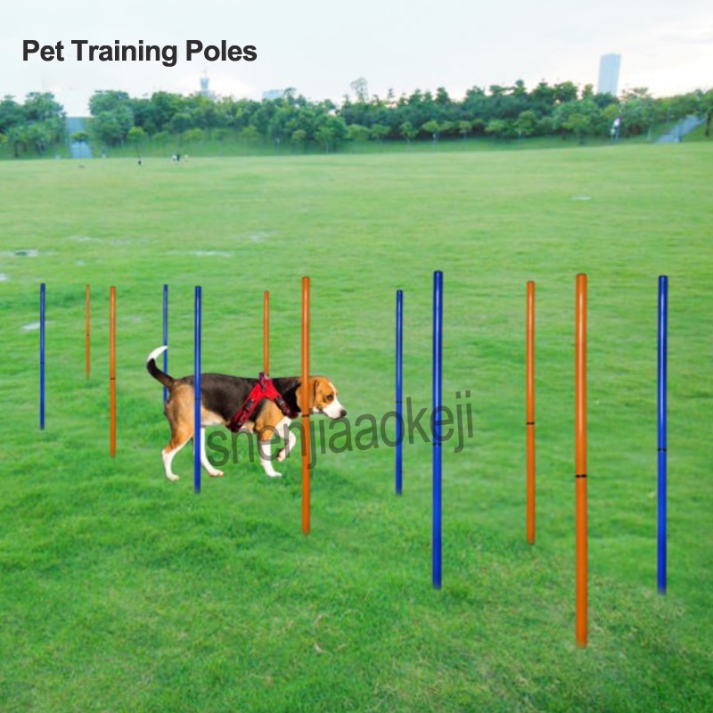 Portable Pet Training Poles Outdoor Dog Sports Equipment Dogs Activity Agility Weave Slalom 12 Pole/Set with Carrying Case