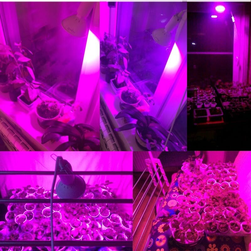 Full Spectrum Plant Grow Led Light Bulbs Lamp Lighting for Seeds Hydro Flower Greenhouse Veg Indoor Garden E27 Phyto Growbox