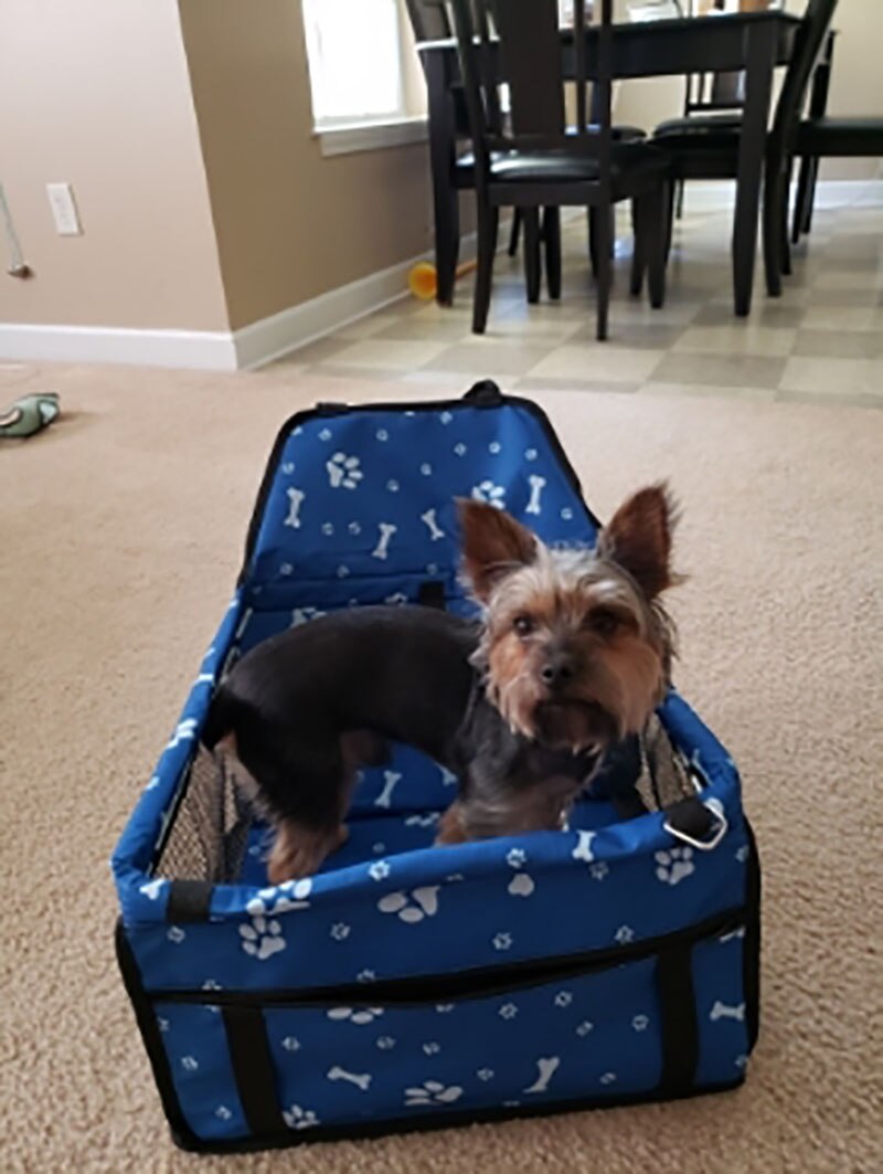 Travel Pet Dog Car Carrier Seat Bag for dogs in the car Safety Pet Transport print paw Car Folding Hammock autogamic for dogs