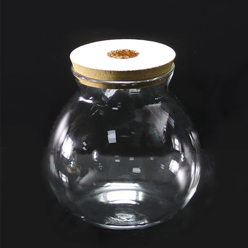 Mini Glass Fish Tank Betta Fish Tank Aquarium Fish Tank Micro Landscape Ecological Bottle Empty Bottle DIY Aquarium Accessories