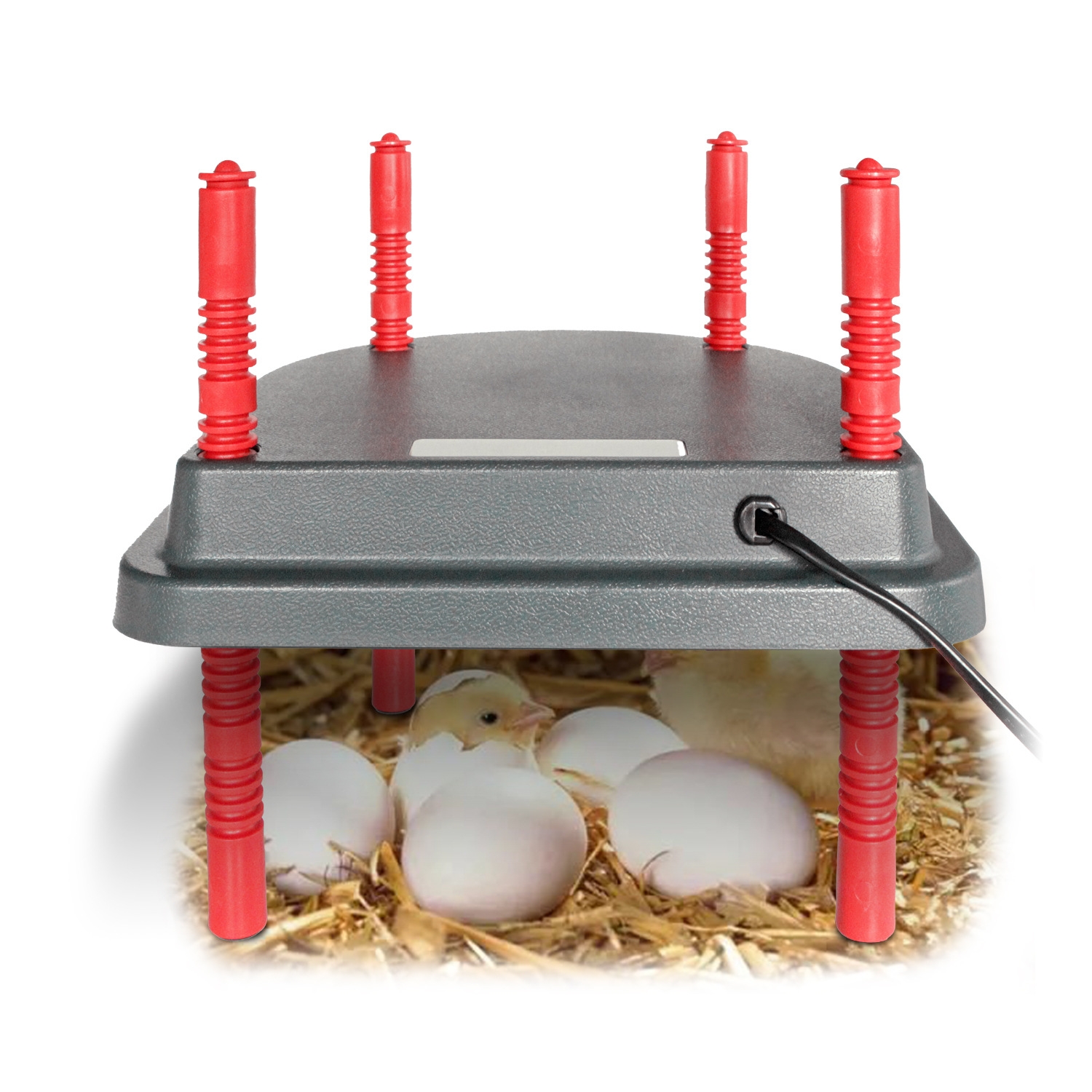 Electric Chick Brooder Heating Plate Practical Adjustable Height Chick Cage Heater Chicken Coop Warmer Farm Animal Warm Equipmen
