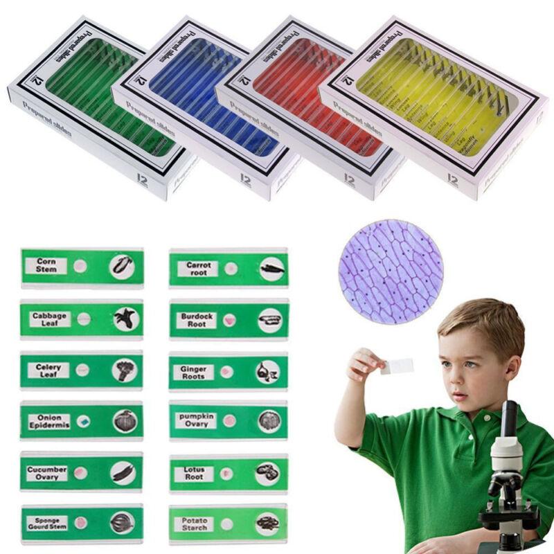 12/48Pcs/Set Prepared Microscope Slides Specimen Animals Insects Plants Flowers Sample