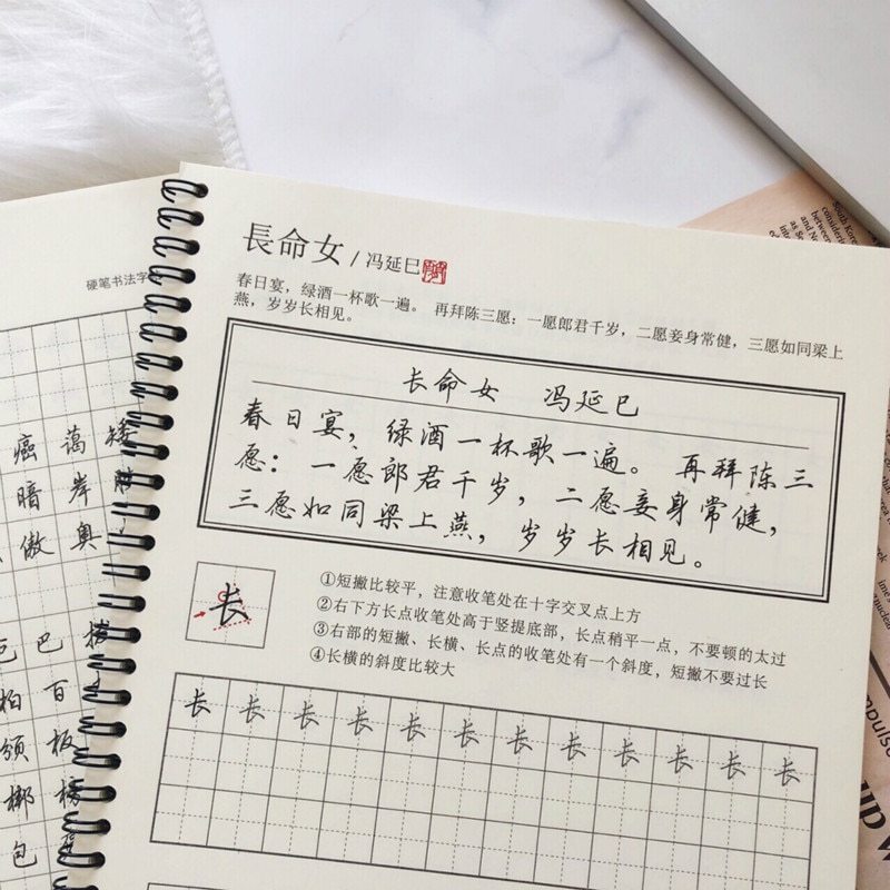 Fountain Pen Chinese Calligraphy Copybook Running Script Single Character Analysis Student Adult Practice Copybook