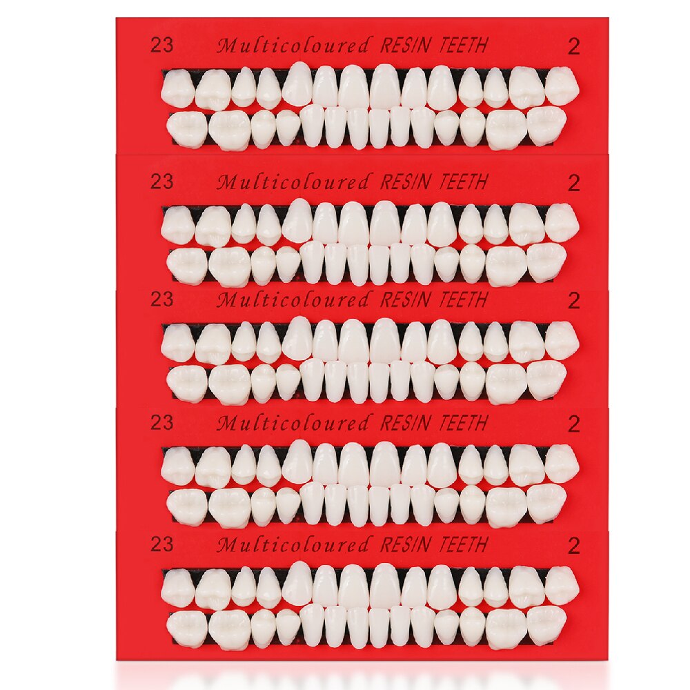 10 Set Dental Tanden Model Volwassen Permanente Tandarts Anatomie Anatomisch Model Tandheelkundige Communicatie Prothese Model Vervangen Teet