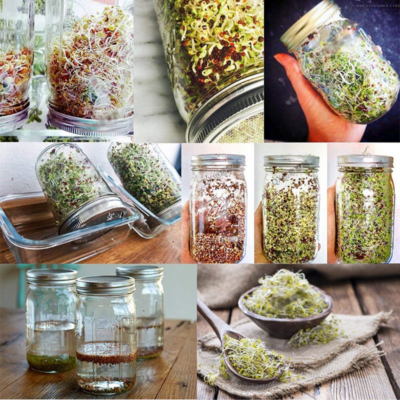Sprouting Jar with Stainless Steel Screen Lid Wide Mouth Quart Mason Sprouter Home Garden Supplies
