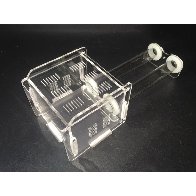 Acrylic Test Tube Nest Live Ant Activity Area Ant Farm Reptile Terrarium