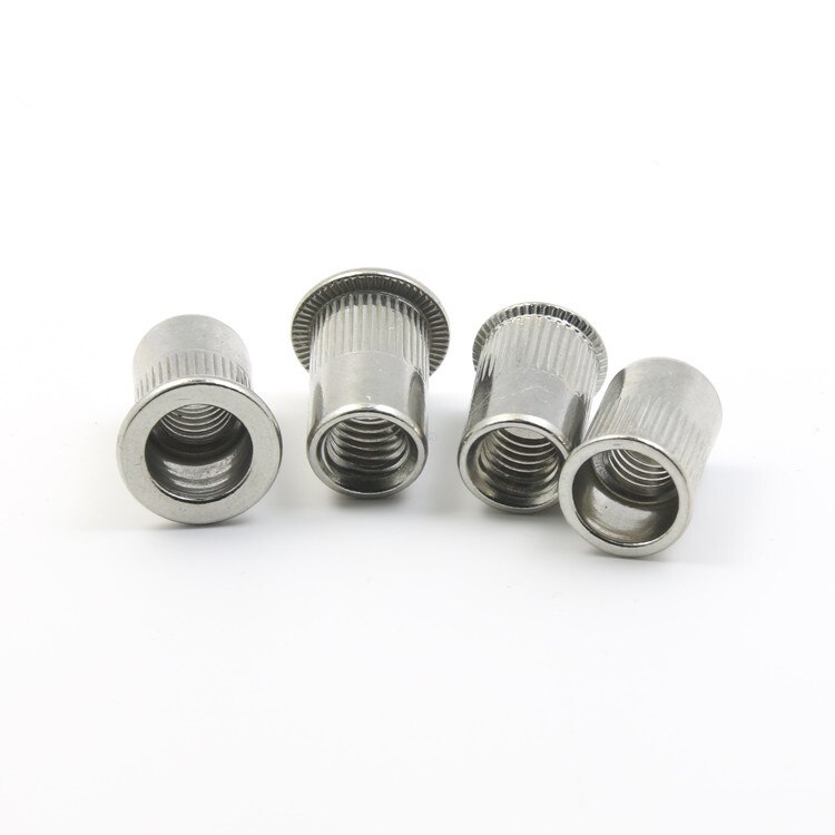 Rv Rivets 10Pcs Rvs Rivet Nut Platte Kop Klinknagel Rvs Rive... – Grandado