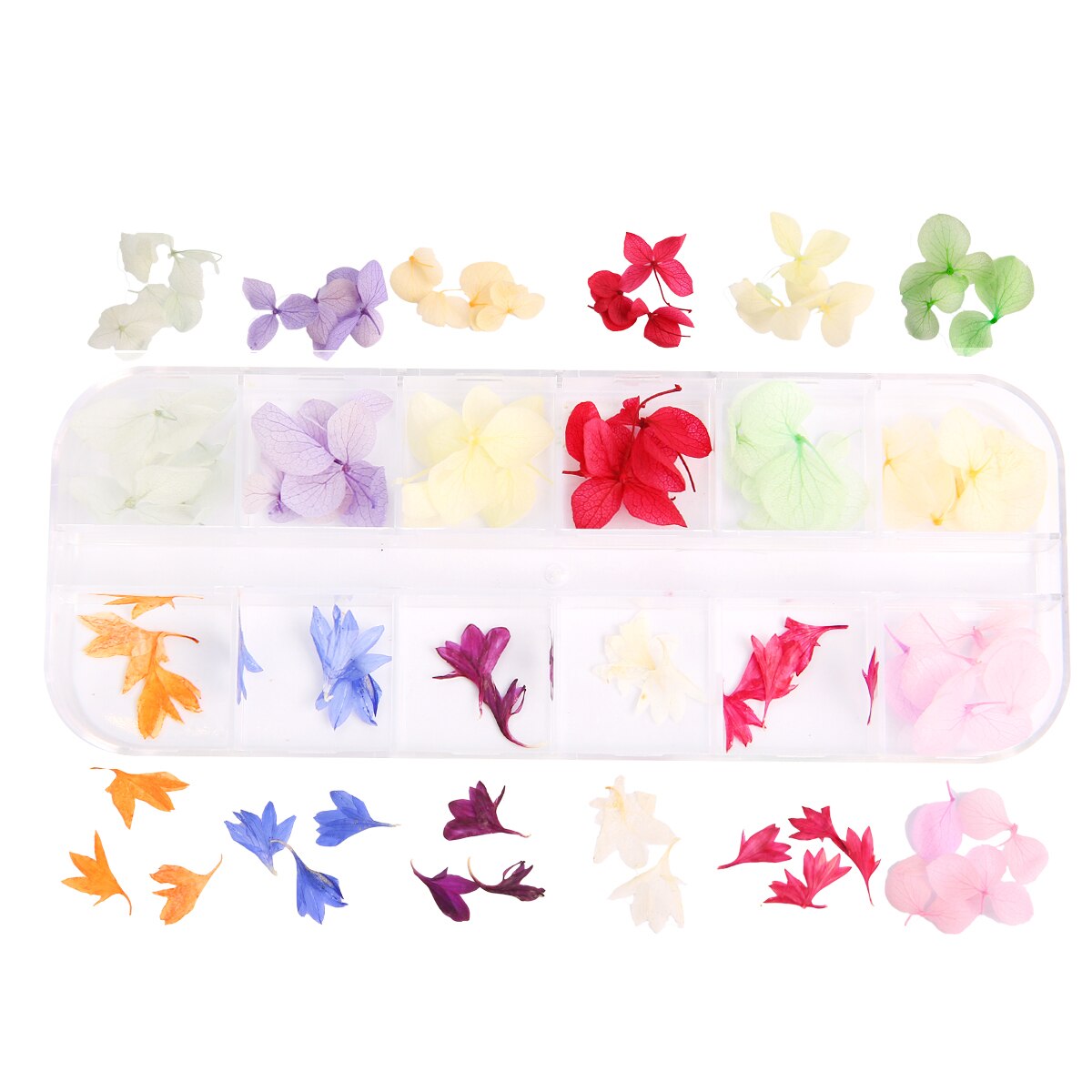 1 Doos Gedroogde Bloemen Droge Planten Voor Hars Mallen Vullingen Epoxy Hars Hanger Ketting Sieraden Maken Craft Diy Nail Art decoratie: Style6