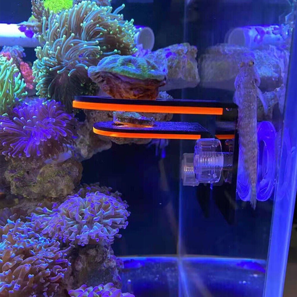Fish Tank Fluorescent Coral Frag Bracket Coral Growing Holder Acrylic Coral Rack Marine Reef Stand Aquarium Accessories