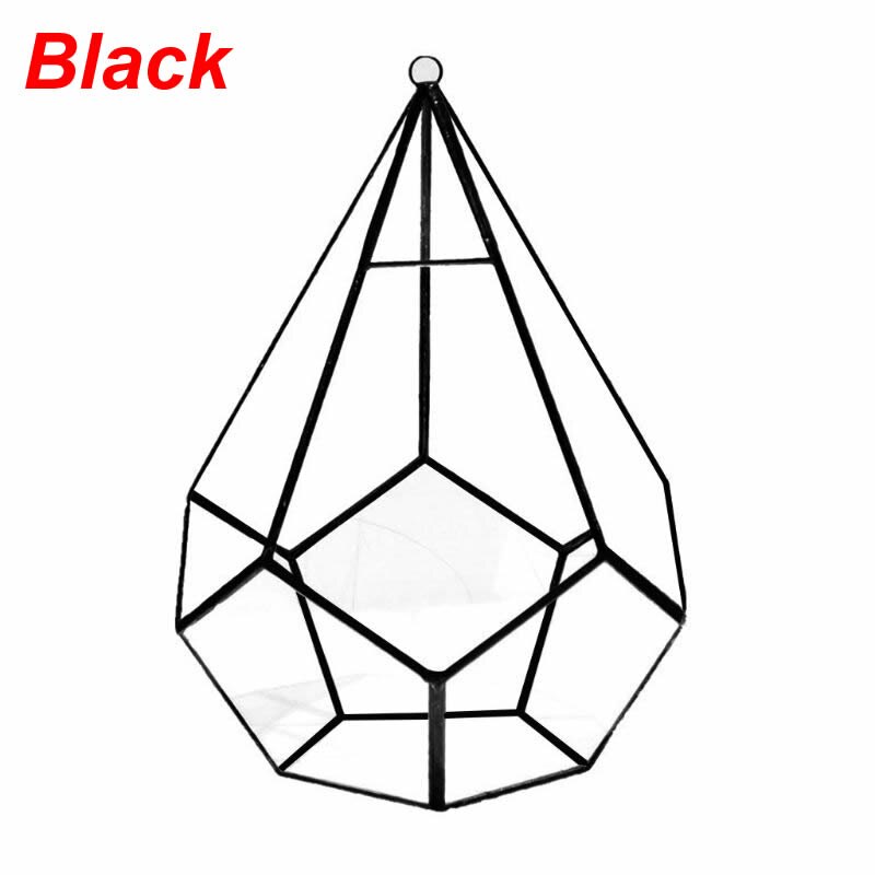 Hanging Glass Terrarium - Diamond Geometric Polyhedron - Wall Mounted Air Plant Holder: Black