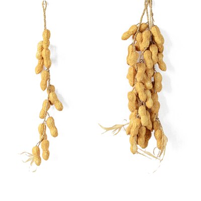 Kunstmatige Foam Groenten Planten Knoflook Nep Ui Maïs Vissen Opknoping String Home Decoratie Fotografie Rekwisieten: Peanut 12pcs 50cm