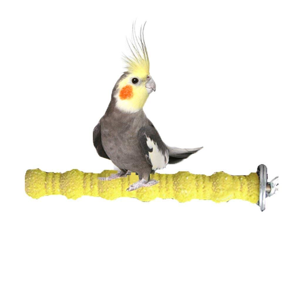 Support de perche en bois pour oiseaux, plate-forme pour perruches perroquets perruches Cockatiels, accessoires de Cage à Conure (couleur aléatoire)