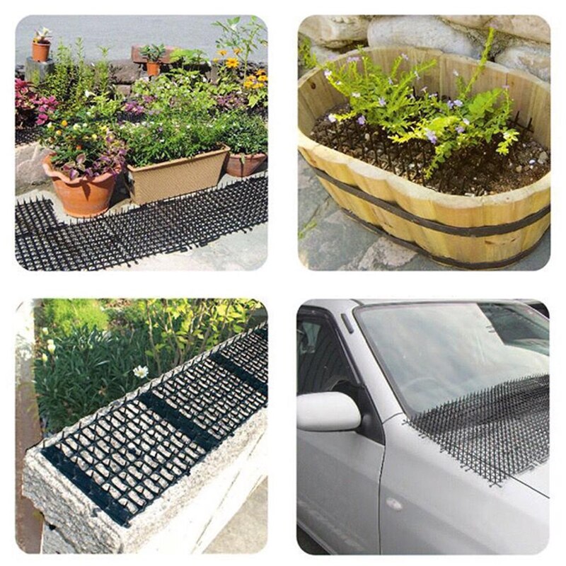 Rete anti-gatto da giardino in plastica prevenire la stuoia della spina del gatto rete protettiva multifunzionale della rete di protezione delle piante dell'orto