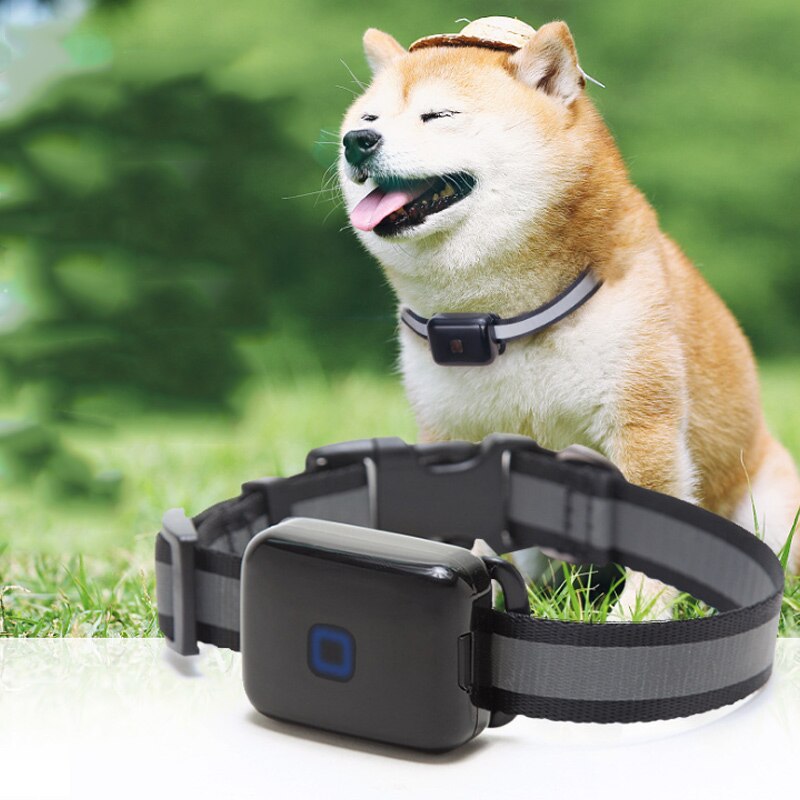 Pet GPS Locator Waterproof Anti-lost Real-time Tracking Postioning Collar for Dog Cats HG99
