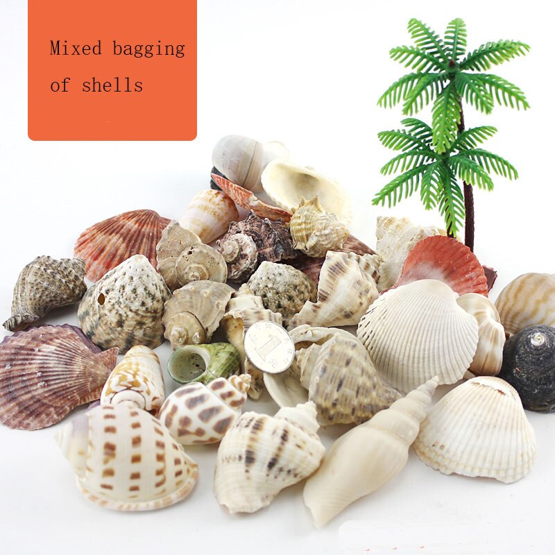 Fish Tank Decoration Aquarium Decoration StoneLuminous Stone Garden Decoration Stone Landscape Sand: Shell set  500g