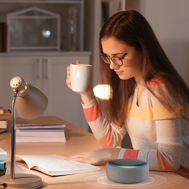 Gosund EU Smart Plug Socket Smart Life Remote Control Tuya WiFi Socket Smart Home Timing Function With Alexa Google Home