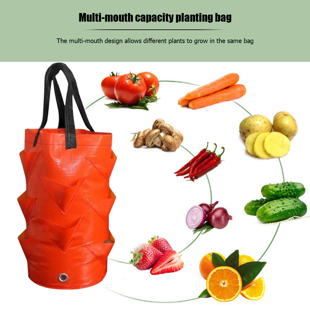 Garden Planting Bags 3 Gallons Strawberry Tomato Carrot Reusable Multi-mouth Vertical Flower Herb Planter Pot Hanging Grow Bags