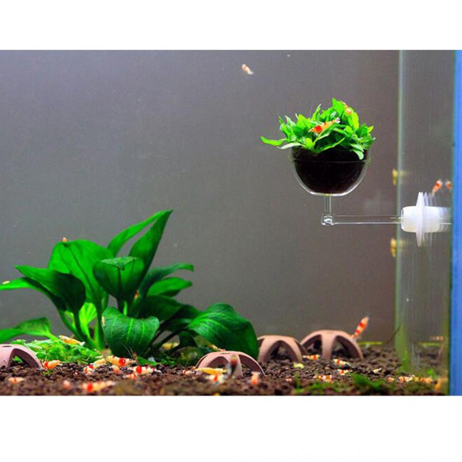 Acryl Aquarium Gras Planten Pot Decoratie Vis Accessoires Water Plant Bonsai Pot Moss Planten Cilinder Cup