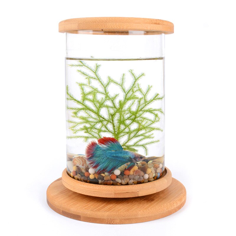 360 grad Rotierenden Glas Betta Fisch Panzer Bambus Basis Mini Aquarium Dekoration Drehen Fisch Schüssel Aquarium Büro Zubehör
