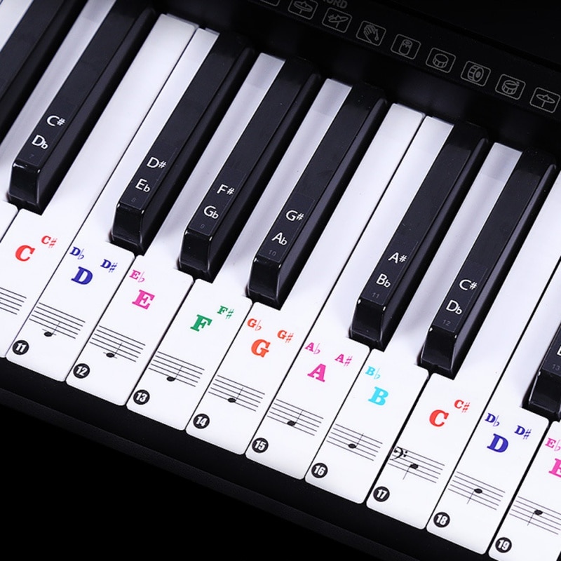 88/61 Key Color Piano Letter Notes Stickers Keyboard Hand Roll Piano Keyboard Transparent Stickers Notation Transparent