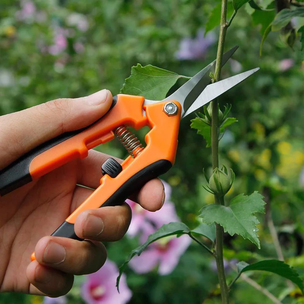 Multifunctionele Straight Tuin Snoeischaar Whic Cut Diameter Fruit Bomen Bloemen Takken En Schaar Tak Scharen Gereedschap: Oranje