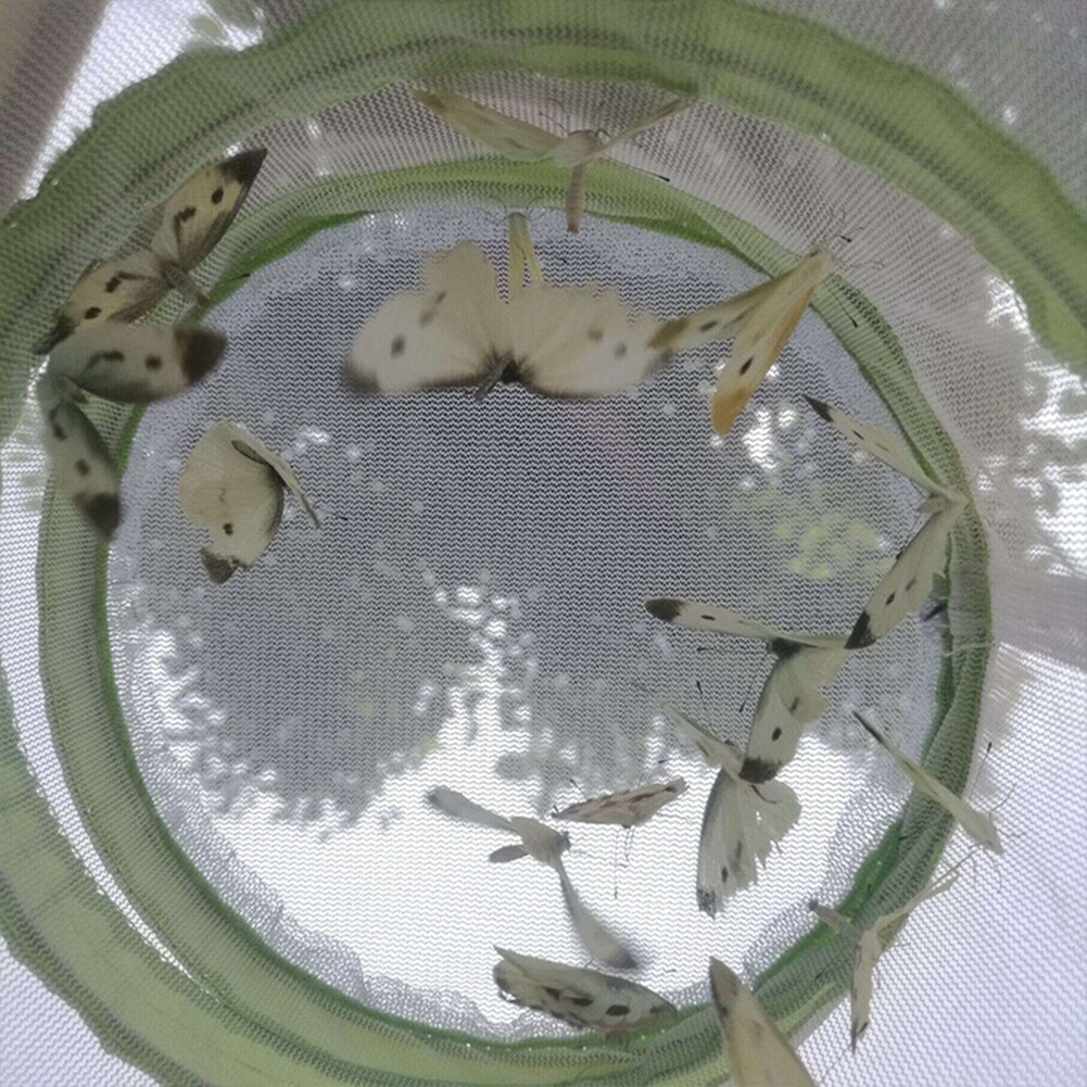 Folding Insect Mesh Cage Butterfly Dragonfly Mantis Breathable Habitat Cage Breeding Feeding Container Catching Terrarium