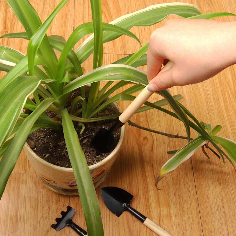 1 Juego de herramientas de jardinería plantas MiNi excavación suelo pala Friable escorpión rastrillo mango de madera luz fácil de llevar para Gaden Bonsai