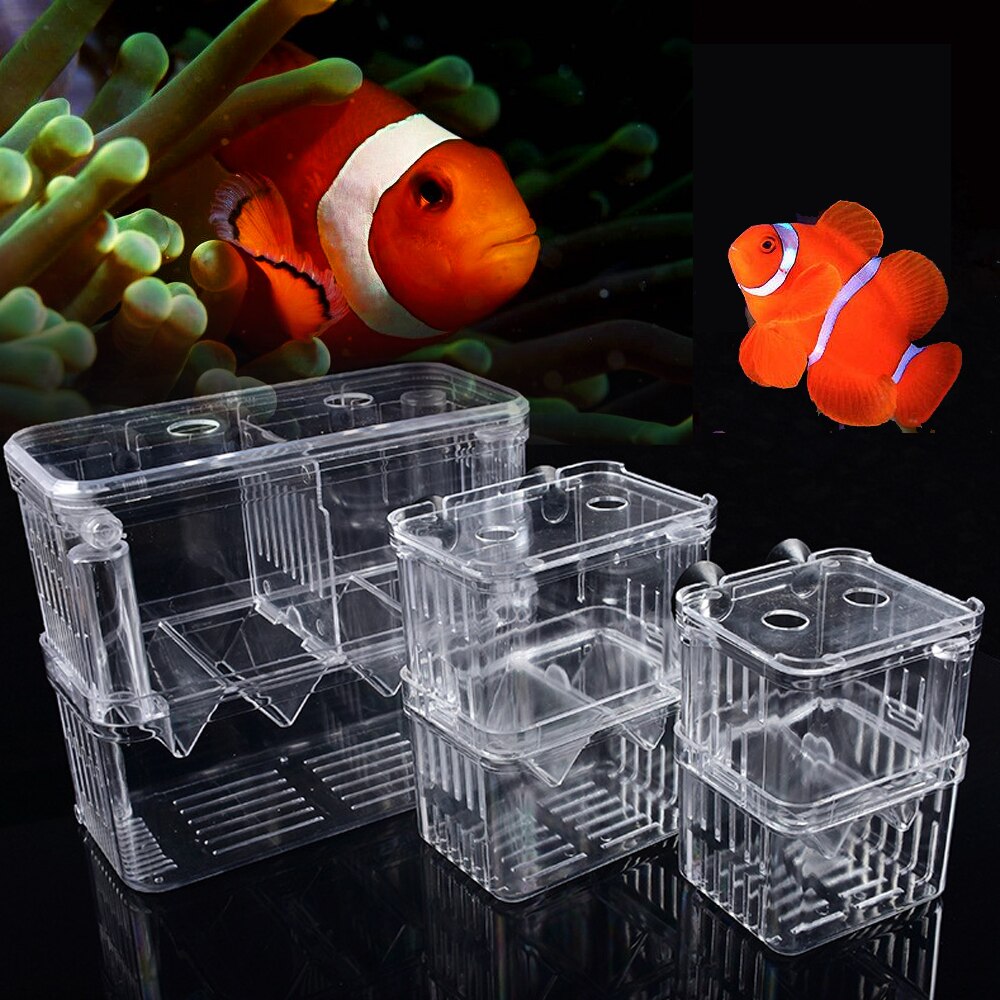 Nyeste akvarium akryl isolationsboks opdrætsboks stor kampfisk gyde rugerum til akvarietilbehør: Xl 18 x 8.5 x 15.5cm