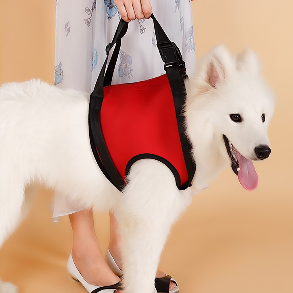 Dog Lift Harness Patches Reusable Walking Aid Adjustable Legs Strap Pet Walking Support Dog Harness Walking Aids