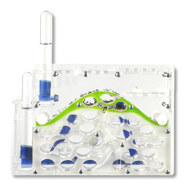 ant hill Transparent Acryl Ant Farm,Natural Ecological Insect Ant House SandCastle Ants Nest, pet mania for house ants