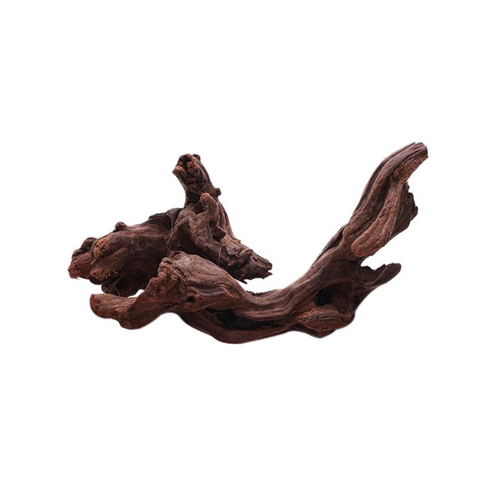 Irregular Shape Coral Wood Natural Wood Aquatic Plants Fish Tank Decoration for Aquarium: WHITE