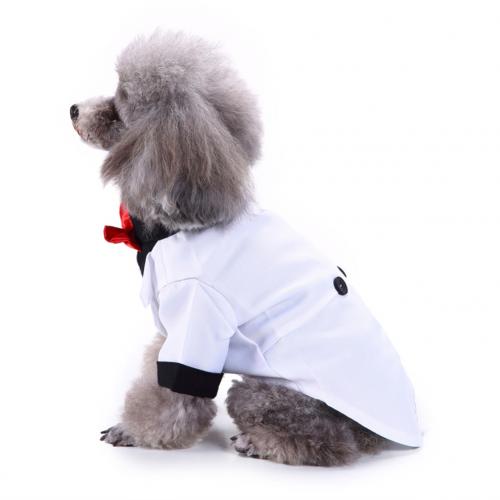Estilo británico mascota perro boda Formal pajarita esmoquin traje chaqueta novio traje ropa: Blanco / M