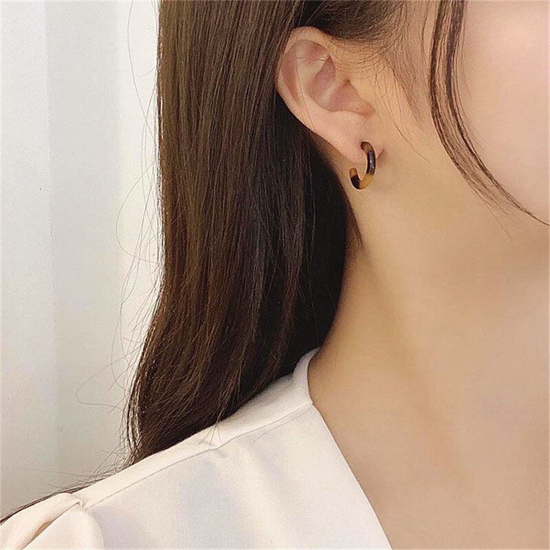 Trendy søt harpiks leopard bøyle øredobber for kvinner sirkel form øredobber trendy pendientes smykker
