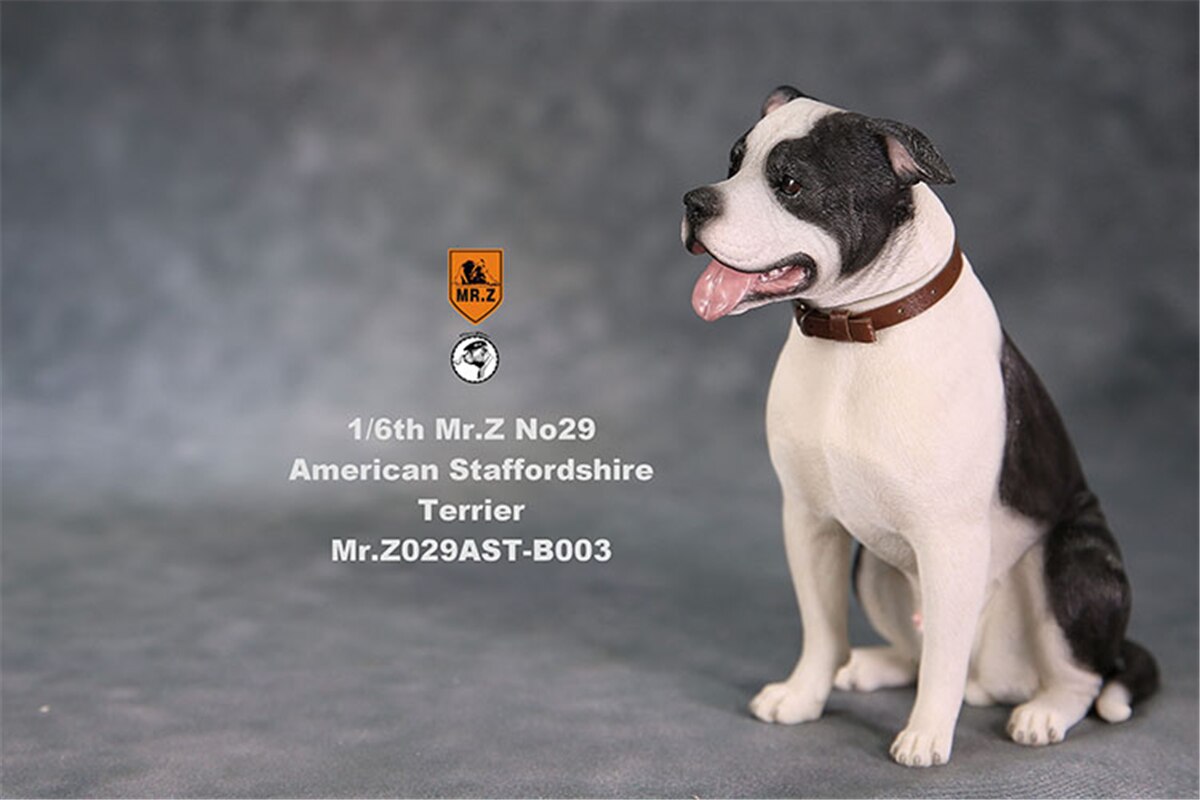 Mr.Z Studio 1:6 Amerikaanse Staffordshire Terrier Hond Pet Healing Figuur Canidae Diermodel Speelgoed Collector Desktop Decor Volwassen: B-003