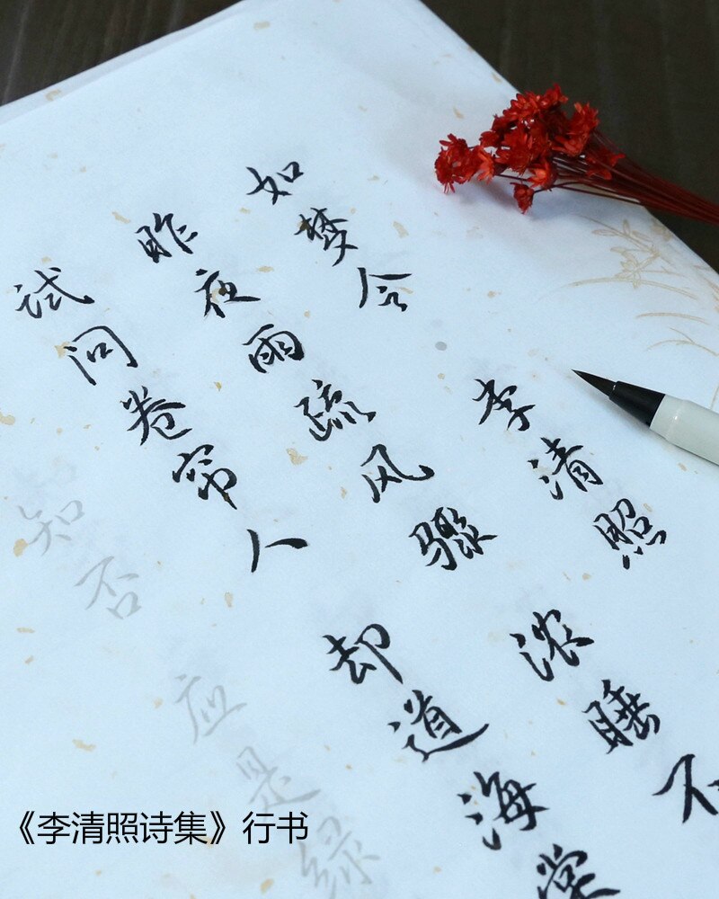 100 Pcs Kalligrafie Copybooks Calligraphie Xuan Papier Gedicht Schrift Beginner Chinese Kleine Reguliere Script Running Script Schrift: F