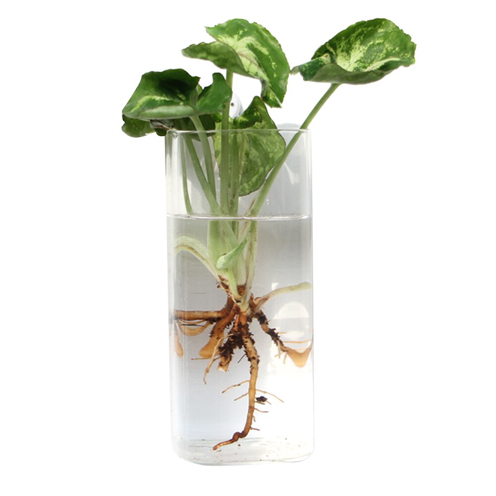 Wall Hanging Fish Bowl Glass Wall-mounted Plant Pot Fish Tank Decoration Planter HKS99: Square Tube