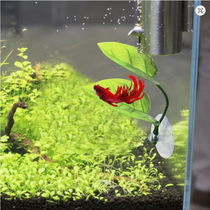 1PC Betta Vis Rest Blad Paaien Blad Paaien Sierplant Water Gras Decor Aquarium Blad Planten Decoratie Accessoires