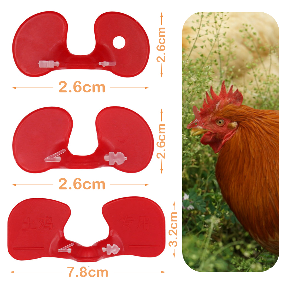 Red Chicken Glasses Plastic Pheasant Anti-pecking Goggles Glasses with Bolt Protect Eyes Feeding Farm Poultry Hens accessories