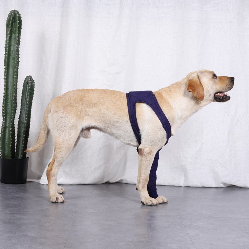 dark blue anti-licking sleeves for pet dogs can help dogs recover quickly after leg surgery